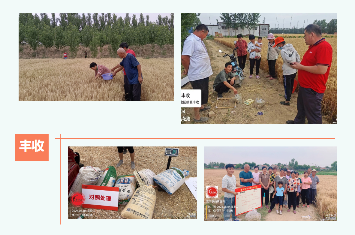 增產(chǎn)增收，我們一直都在努力