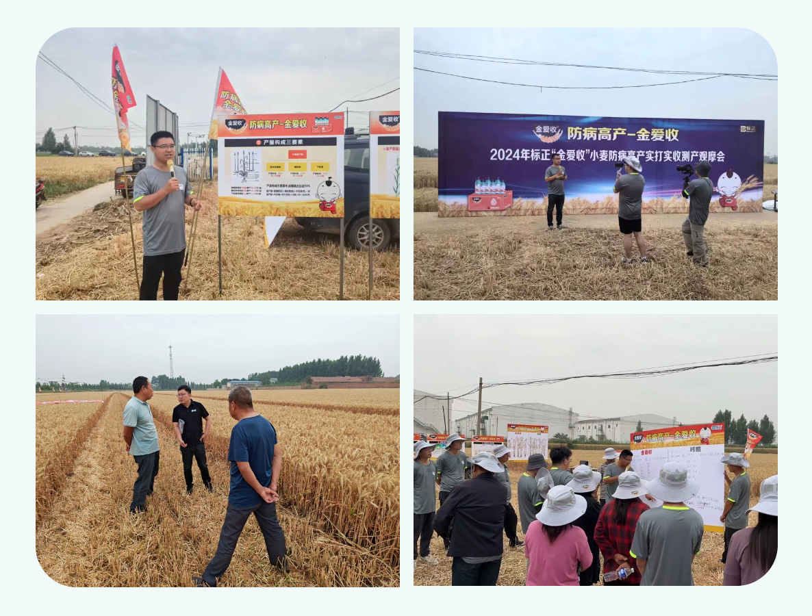 增產(chǎn)增收，我們一直都在努力