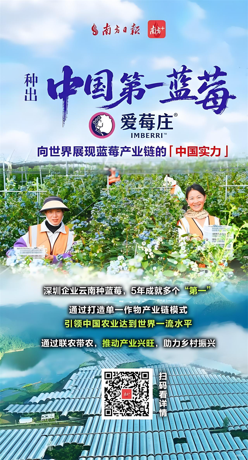 種出“中國第一”藍(lán)莓！ 愛莓莊：向世界展現(xiàn)藍(lán)莓產(chǎn)業(yè)鏈的“中國實(shí)力”